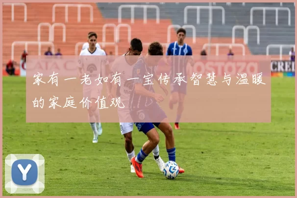 家有一老如有一宝传承智慧与温暖的家庭价值观